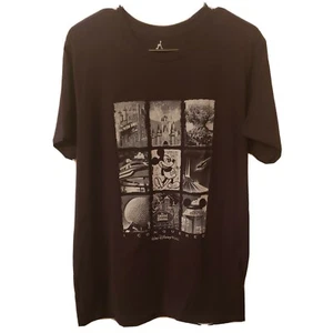 Disneyland Resort Walt Disney World by Hanes Black T-Shirt Sz large - Picture 1 of 4