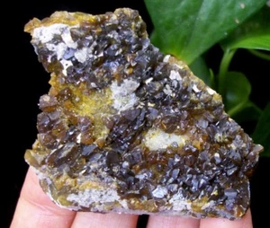 61mm Gemmy Sphalerite crystal on matrix Mineral Specimen China B4945 - Imagen 1 de 3