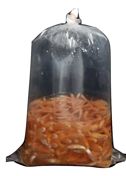 Bolsas de pescado 10x20x.002 por paquete de 100, ENVÍO GRATUITO Foto 1 de 1