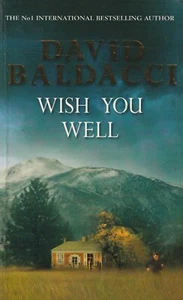 FICTION pb , FREE POST , WISH YOU WELL by DAVID BALDACCI - Picture 1 of 1