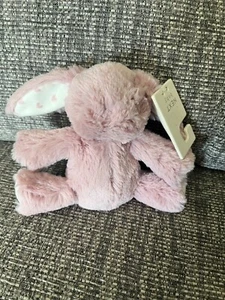 Next Baby My Best Friend Pink Fluffy Love Heart Bunny Rabbit Soft Toy 14cm New - Picture 1 of 1