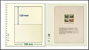 10-LINDNER-802105-T-Blanko-Hojas-Hojas-Blank-1-Bolsa-120x189mm - Imagen 1 de 8