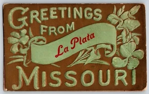 Postcard - Greetings from La Plata Missouri - Heavily Embossed - Picture 1 of 2