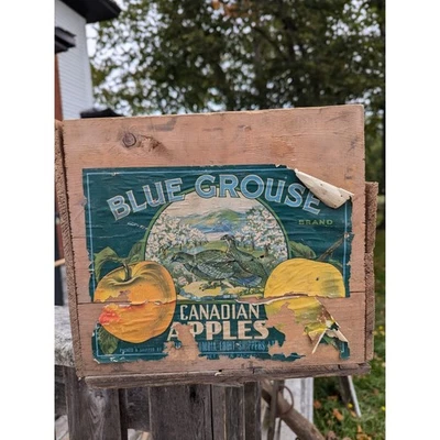 Vintage Blue Grouse Apples Wooden Crate Coldstream Ranch Vernon BC - Image 1 of 4