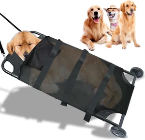 Max Loading 250Lbs Large Dog Stretcher with Noiseless Wheels, 45X22 Inch Pet Tra - Picture 1 of 12
