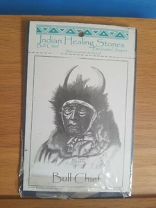 Indische Heilsteine Breziated Jaspis Bull Chief Postkarte 95 versiegelt Made in USA - Bild 1 von 5