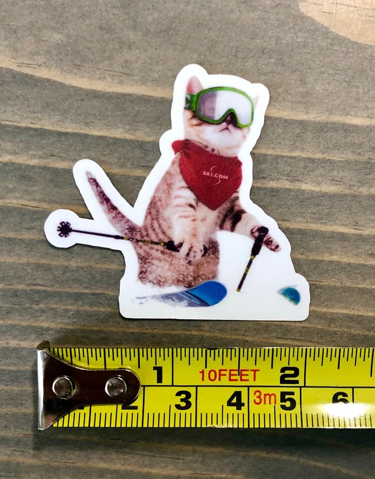 Cat Skiing Sticker Ski Decal 2" Small Salomon Rossi Blizzard Volkl PO