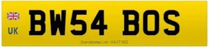PLACA DE NÚMERO PRIVADA BW54 BOS REGISTRO PRECIADO BW INICIALES BOSS REG - Imagen 1 de 3