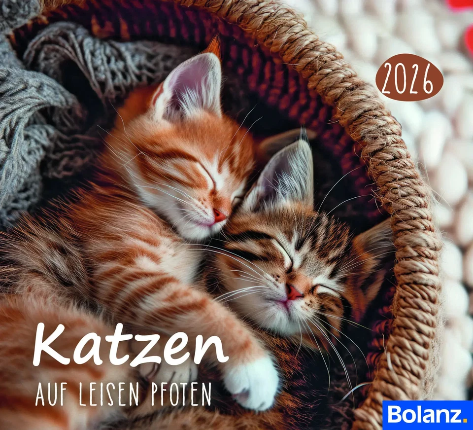 Katzen 2026 | Kalender | 13 S. | Deutsch | 2026 | Bolanz Verlag für alle