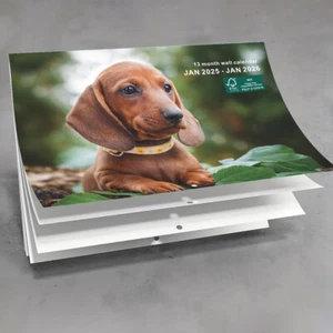 2025 Calendar Cute Dogs Wall Monthly Planner Family Home Organiser 12 Months AUS - Picture 1 of 8