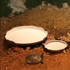 Plastic Reptile Feeding Basin - Turtle, Lizard, Spider Water & Food Bowl, Turtle - Picture 1 of 8