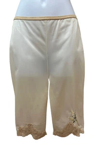 Vintage Sheer Chiffon Nylon Pettipants Bloomer Dainty Lace Embroidery 28" Waist - Picture 1 of 8