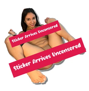 0014 Hailey Rose Sticker, Waterproof, Laminated, Pinup, Nude, Latina, Curvy - Picture 1 of 2