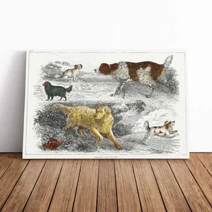 Cani da caccia stampa tela arte da parete incorniciata quadro grande pittura decorazione fotografica - Foto 1 di 7