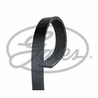 For Ford Fiesta MK7 1.25 Genuine Gates V-Ribbed Belt