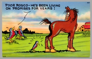 "Poor Rosco He's Been Living On Promises For Years!" Horse Bird Comic Postcard - Picture 1 of 2