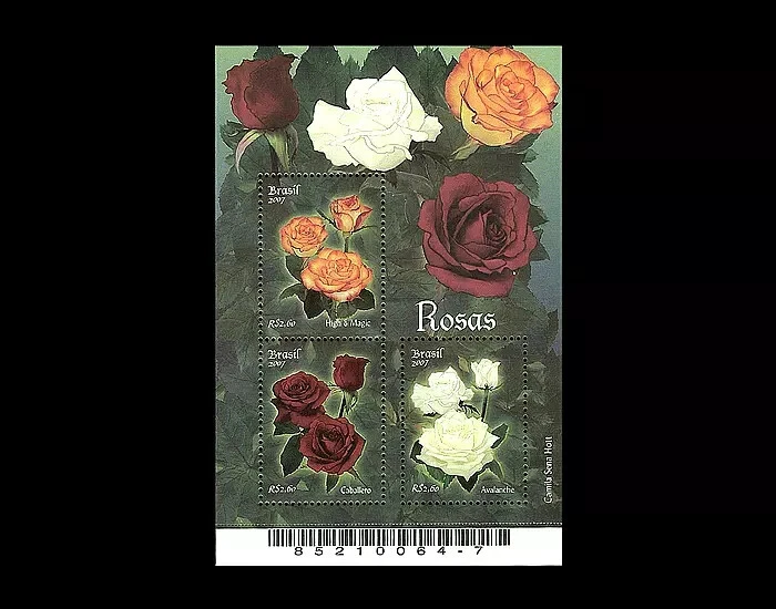 Flower Roses Brasil 2007 花玫瑰 Blómstrandi Mi BL137, Yt BF132, RHM B-146 COMO NUEVO Foto 1 de 1