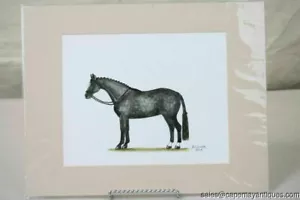 Horse Print Black Grey Spotted Show Horse Signed Matted Braided Tail Mane - Picture 1 of 10