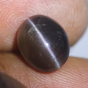 3.36 Cts_Amazing Accurate Sharp Line_100 % Natural Sillimanite Cat's Eye - Picture 1 of 3