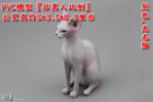  Canadian Hairless For 1/6th Scale 12" Action Figure 1:6 Cat Animal Model