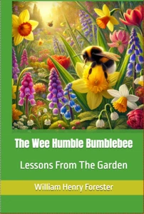 Signed copy of The Wee Humble Bumblebee. Beautifully illustrated. - Picture 1 of 1