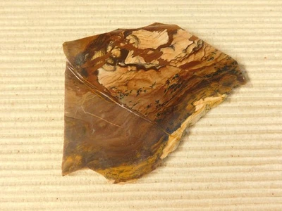 Picture Jasper Slab - Owyhee Mountain Oregon for cabs - Image 1 of 4