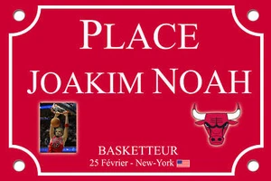 PLAQUE RUE BASKET JOAKIM NOAH CHICAGO BULLS 30X20 ALU - Picture 1 of 1