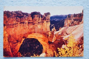 Natural Bridge - Bryce Canyon Nationalpark, Utah - Bild 1 von 2