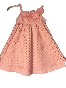 Girls Iris & Ivy Kids Eyelet Overlay Dress Sz 5 Pink Sleeveless Flowers Ties - Picture 1 of 13
