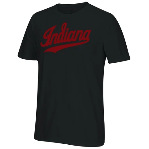 NCAA Indiana Hoosiers Men's Chenillenaire Originals Go-To Short Sleeve Tee, S Cover