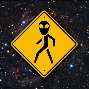 Alien Crossing / Fußgängerschild - UFO-Sichtung - Roswell - E.T. - Raumfahrt - Bild 1 von 9
