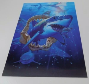 2-imagen, Lenticular (3D) Lentógrafo Impresión Tiburón 13 3/4" X 9 3/4", Excelente - Imagen 1 de 3