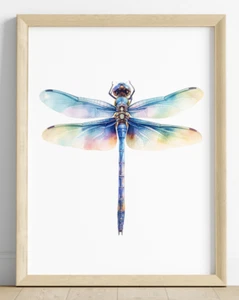 Libelle Kunstdruck, blaue Libelle Wandbild Deko Druck, Natur Kunstdruck #44 - Bild 1 von 2