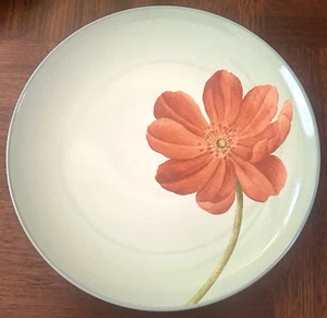 PAEONIA Colorwave Green Set di 4 piatti accento insalata 8,25" fiori di Noritake usati in ottime condizioni - Foto 1 di 8