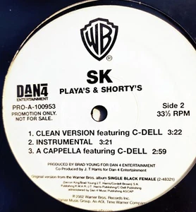 SK–Playa's & Shorty's 12" Single (Promo), 2004 Warner Bros. N.MINT! - Picture 1 of 1