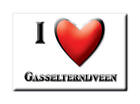 GASSELTERNIJVEEN (D) MAGNET SOUVENIR NETHERLANDS MAGNEET HOLLAND-3990