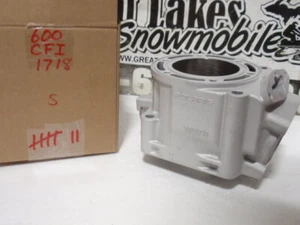 OEM Polaris IQ Dragon Shift 600 Switchback CFI Reman 3021718 Cylinder Snowmobile - Picture 1 of 1