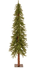 National tree company: 6ft Hickory  Cedar Tree New