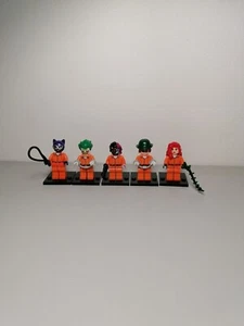 Arkham Asylum Minifigure From DC Comics Batman - Imagen 1 de 6