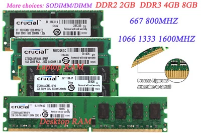 Crucial 8GB 4GB 2GB PC5300 PC10600 DDR2 DDR3 Desktop Laptop Memory RAM DIMM Lot - Image 1 of 4