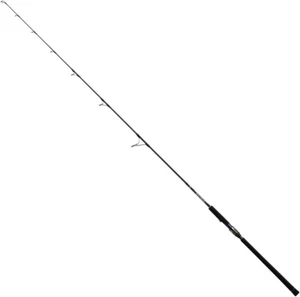 Daiwa SALTIGA R J66S-4 HI 6ft 6in Spinning Rod 1 piece Japan - Picture 1 of 8