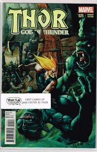 Thor God Of Thunder (2013) #25 First Cameo of Jane Foster As Thor - Picture 1 of 1