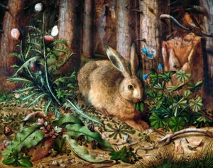 A Hare in the Forest by Hans Hoffmann Art Print 11"x14" - Imagen 1 de 4