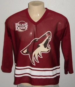 Phoenix Coyotes Ed Jovanovski #55 Decade in the Desert Promo NHL Jersey Youth XL - Picture 1 of 5