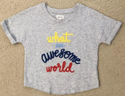Gymboree Size XS 4 Girl's Short Sleeve "What an Awesome World" Gray T-Shirt EEUC - Image 1 of 4