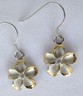 14k Sold Yellow Gold Hawaan Fancy Plumera Flower Stud Post - Etsy