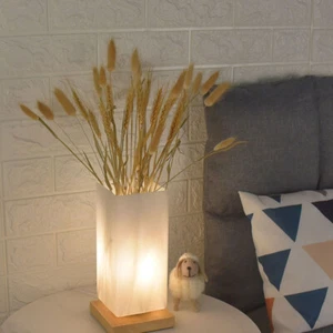 Table Lamp Wall Square Frosted Glass Shade Vanity Light Globe Replacement - Picture 1 of 12