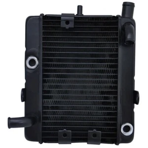Aluminum Motorcycle Engine Radiator Cooler Fits Yamaha YP250 Majesty 1995-2000 - Picture 1 of 2