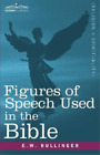 E W Bullinger Figures Of Speech Used In The Bible (Taschenbuch)