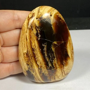 46Gr Rare Collection Amber Indonesia Specimen Rough Crsystal - Polished - Picture 1 of 8